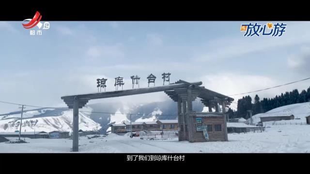 都市放心游20250209
