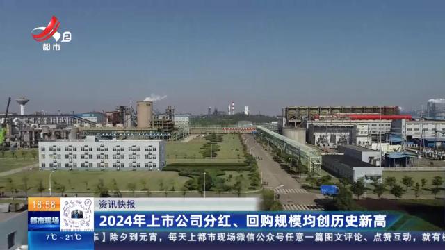 2024年上市公司分红、回购规模均创历史新高