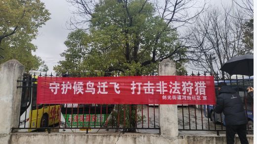 丰城市剑光街道多举措开展“清网护鸟”专项行动