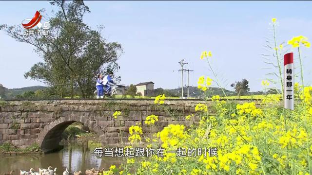 乡村栏目剧场20250227 转身那一年