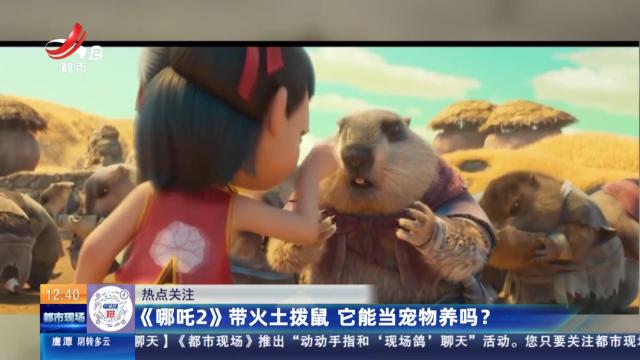 【热点关注】《哪吒2》带火土拨鼠 它能当宠物养吗？