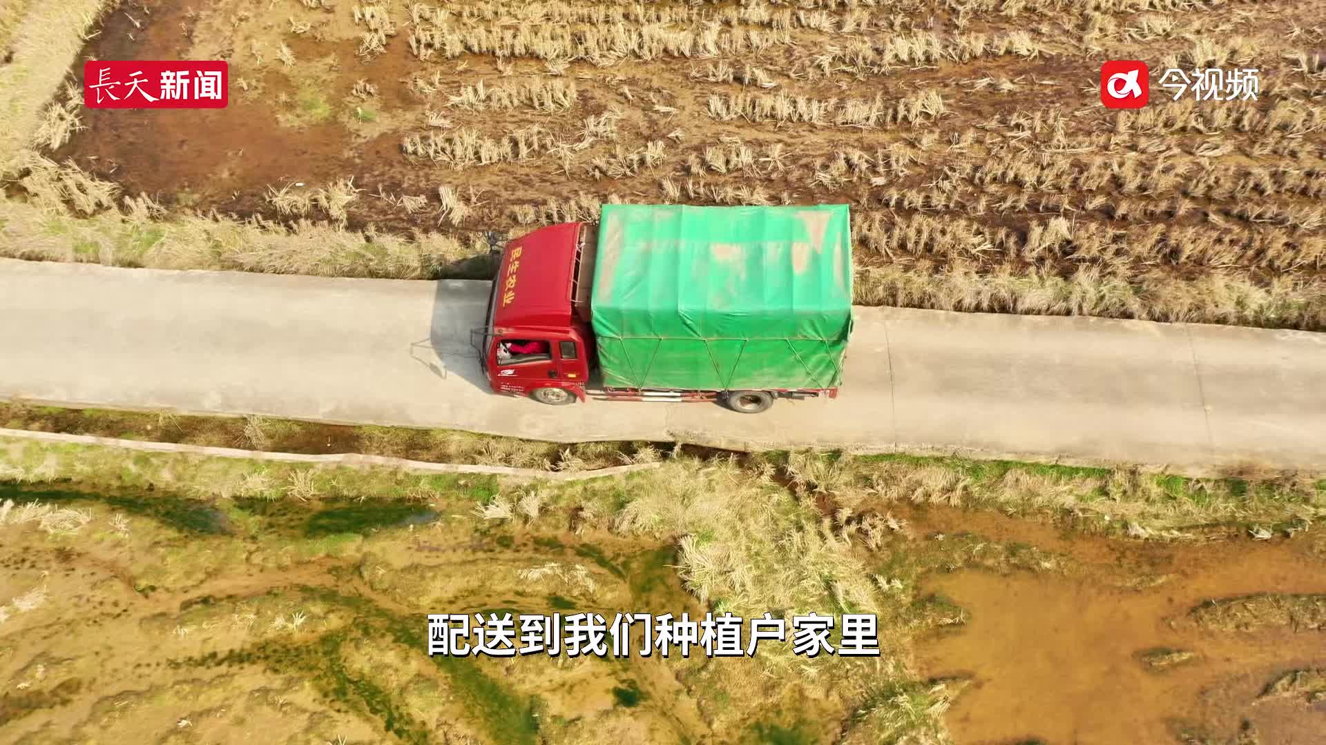 吉安万安：春耕新景象 线上下单农资速达