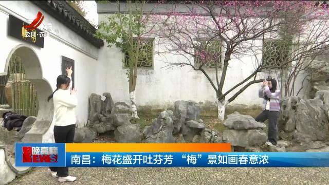 南昌：梅花盛开吐芬芳 “梅”景如画春意浓