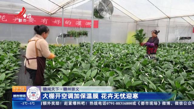 【赣闻天下】赣州崇义：大棚开空调加保温膜 花卉无忧迎寒
