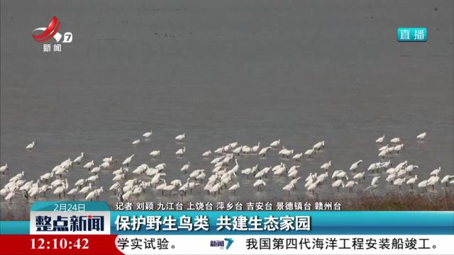 保护野生鸟类 共建生态家园