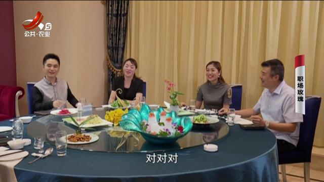 乡村栏目剧场20250207 职场玫瑰