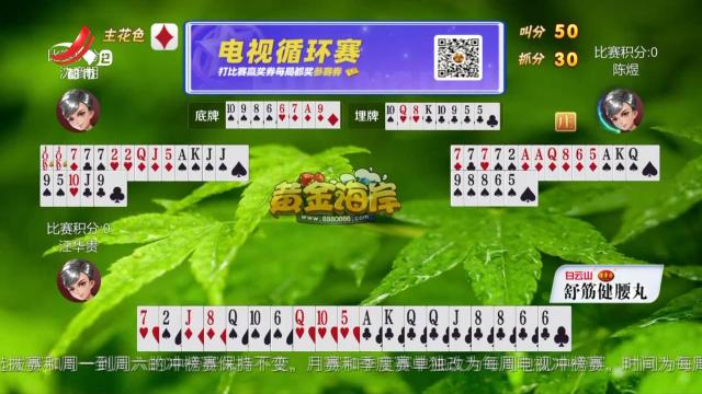 谁是赢家20250224