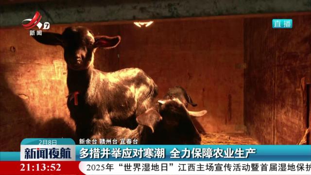多措并举应对寒潮 全力保障农业生产
