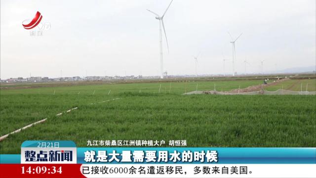 整点新闻20250221 14：00