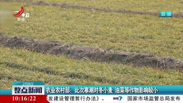 农业农村部：此次寒潮对冬小麦 油菜等作物影响较小