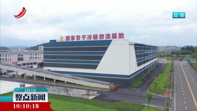 整点新闻20250207 10：00