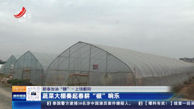 【新春加油“赣”】上饶鄱阳：蔬菜大棚奏起春耕“椒”响乐