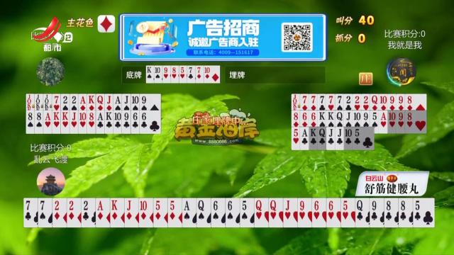 谁是赢家20250223