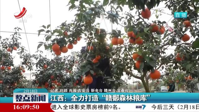 江西：全力打造“赣鄱森林粮库”