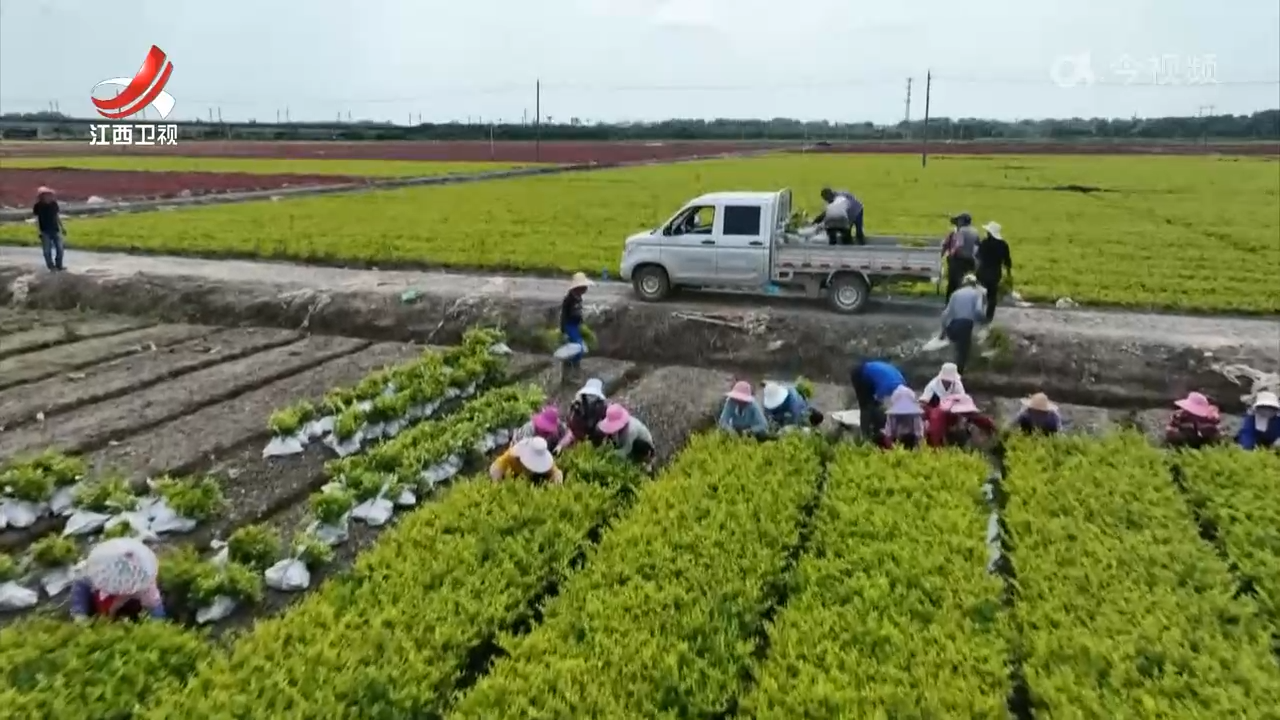 江西新闻联播20250216