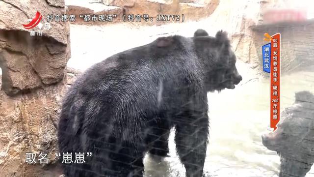 湖北武汉：“00后”女饲养员徒手“硬控”200斤棕熊
