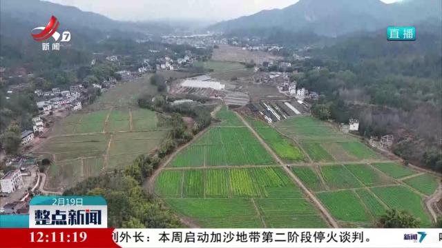 整点新闻20250219 12:00