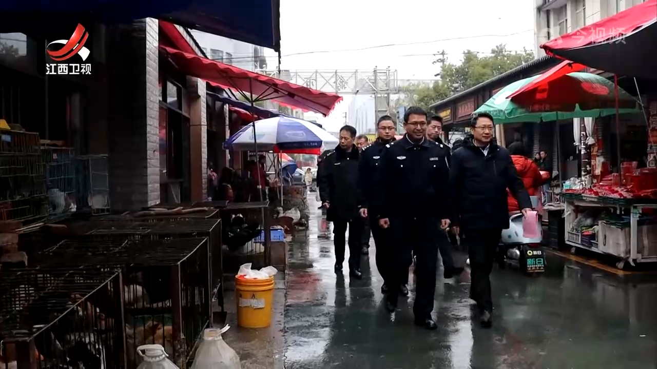 我省启动“清网护鸟”专项整治行动