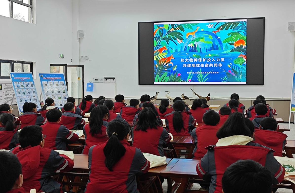 共筑生命守护线：地球生物多样性行动