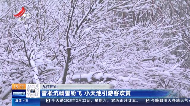 九江庐山：雪凇沆砀雪纷飞 小天池引游客欢赏