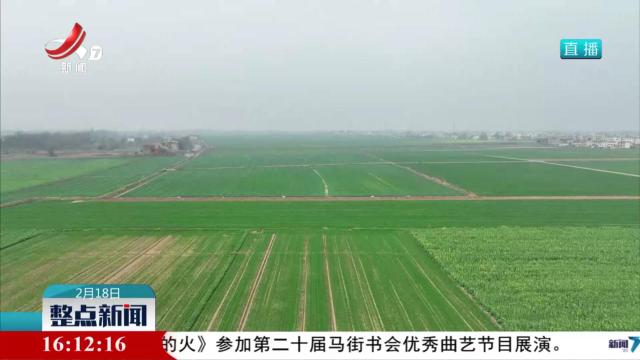 九江柴桑区：田间把“麦”问诊 助力夏粮丰产丰收