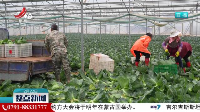 江西：强化产业支撑 联农带农促增收