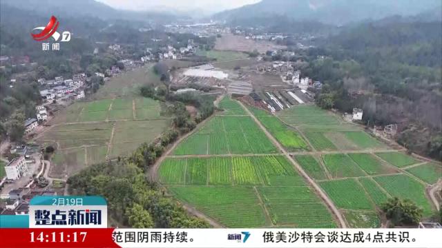 整点新闻20250219 14:00