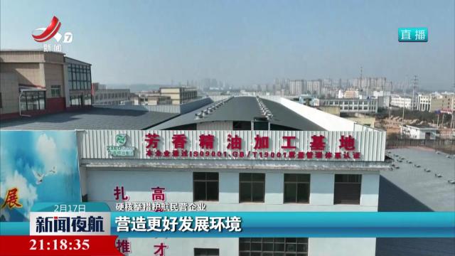 【硬核举措护航民营企业】营造更好发展环境