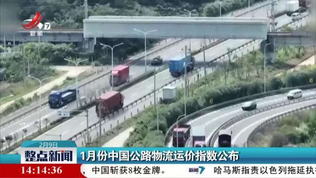 整点新闻20250209 14：00