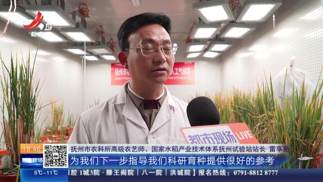 抚州：水稻研究团队全国首创“特早熟早稻”新种质