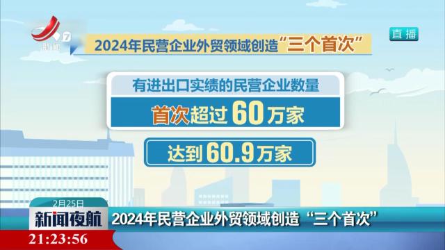 2024年民营企业外贸领域创造“三个首次”