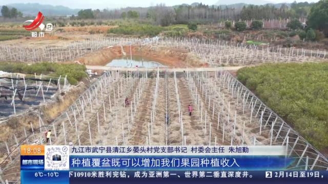 都市现场20250220