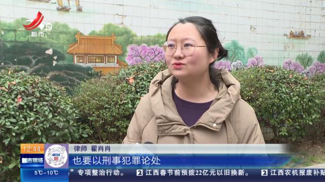 江苏无锡：蛇年“异宠”受追捧 入手之前需慎之又慎