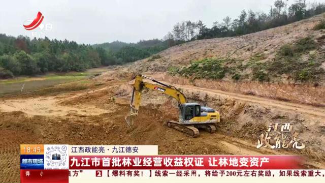 【江西政能亮】九江德安：九江市首批林业经营收益权证 让林地变资产