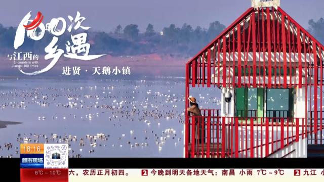 【与江西的100次乡遇】进贤·天鹅小镇
