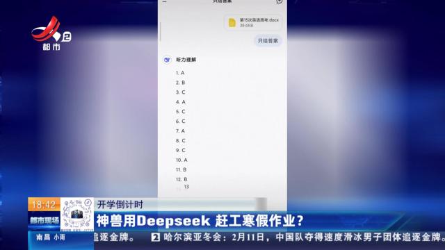 【开学倒计时】神兽用Deepseek赶工寒假作业？