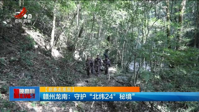 【新春走基层】赣州龙南：守护“北纬24°秘境”