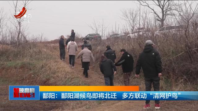 鄱阳：鄱阳湖候鸟即将北迁 多方联动“清网护鸟”
