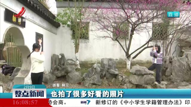 “梅”景如画春意浓