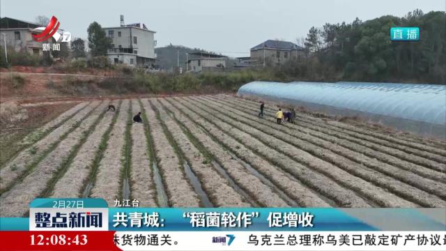 共青城：“稻菌轮作”促增收