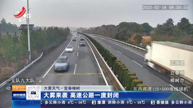 【大雾天气】宜春樟树：大雾来袭 高速公路一度封闭