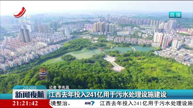 新闻夜航20250220