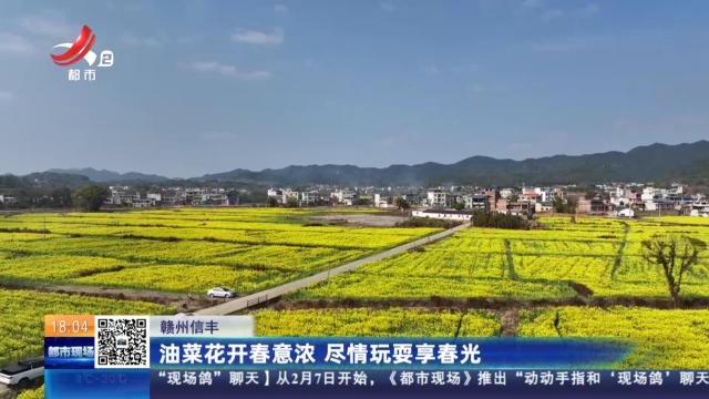 赣州信丰：油菜花开春意浓 尽情玩耍享春光