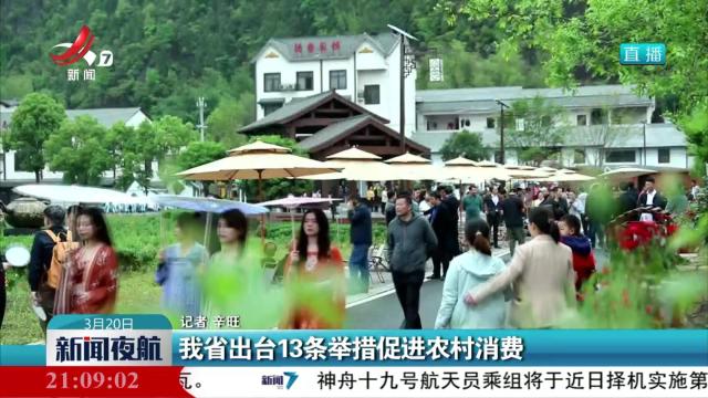 我省出台13条举措促进农村消费