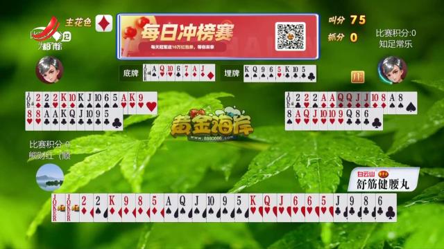 谁是赢家20250312