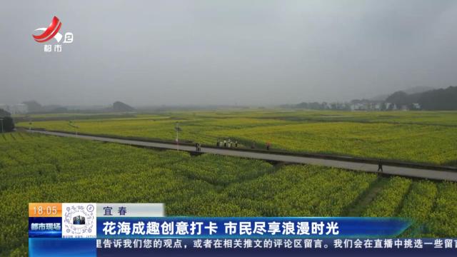 宜春：花海成趣创意打卡 市民尽享浪漫时光