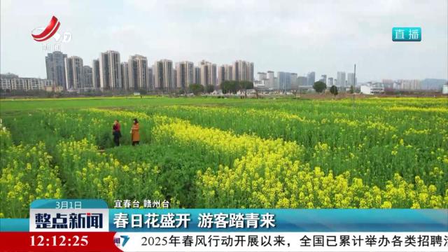 春日花盛开 游客踏青来
