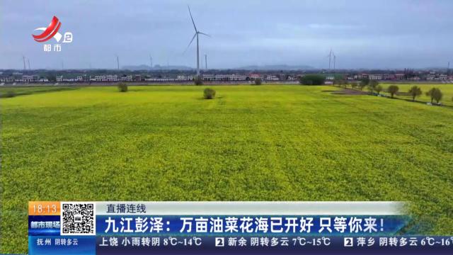 【直播连线】九江彭泽：万亩油菜花海已开好 只等你来！