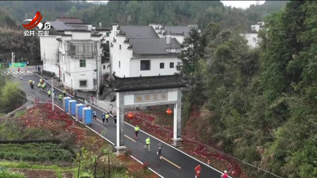 三农头条20250331