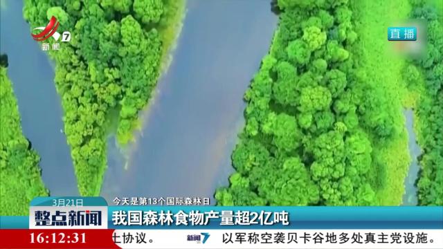 【今天是第13个国际森林日】我国森林食物产量超2亿吨